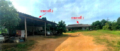 Land for sale : LAND 2454.6 Sq.w. Khiri Ratthanikhom Surat Thani Price on request