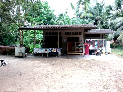 LAND 1417 Sq.w. Tha Sae Chumphon Price on request