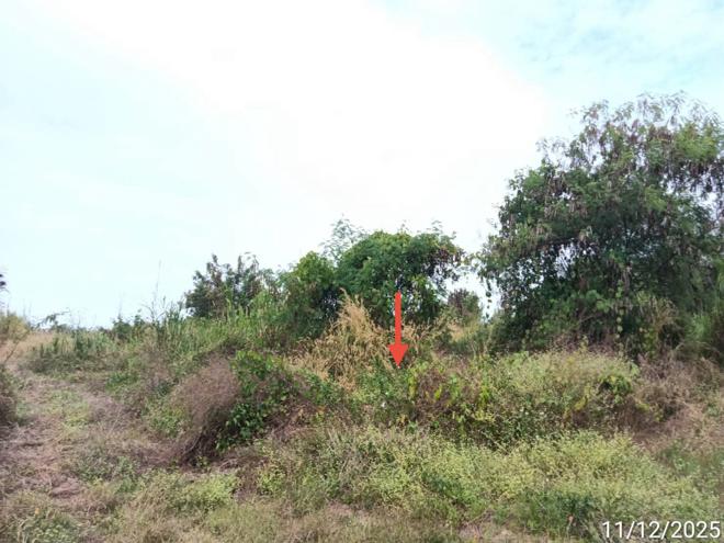 picture FACTORY 3184 Sq.w. Song Phrae for 4.5M - 7/20