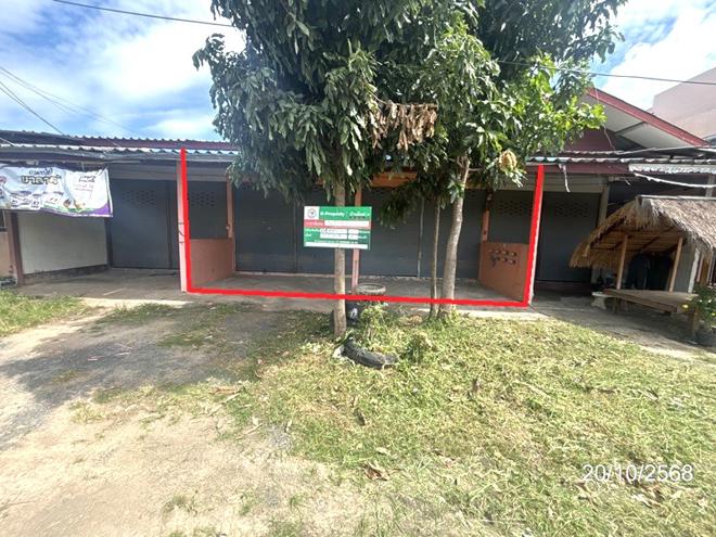 รูป อาคารพาณิชย์ 30 ตร.วา สนม สุรินทร์ 1.6M - รูปที่ 1/26