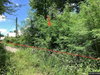 listing thumbnail image 19