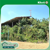 listing thumbnail image 23