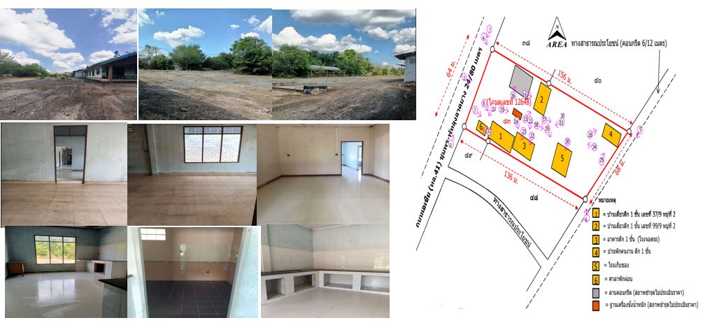 รูป ที่ดินพร้อมสิ่งปลูกสร้าง 2319.5 ตร.วา อำเภอเวียงสระ สุราษฎร์ธานี 19.3M - รูปที่ 9/12