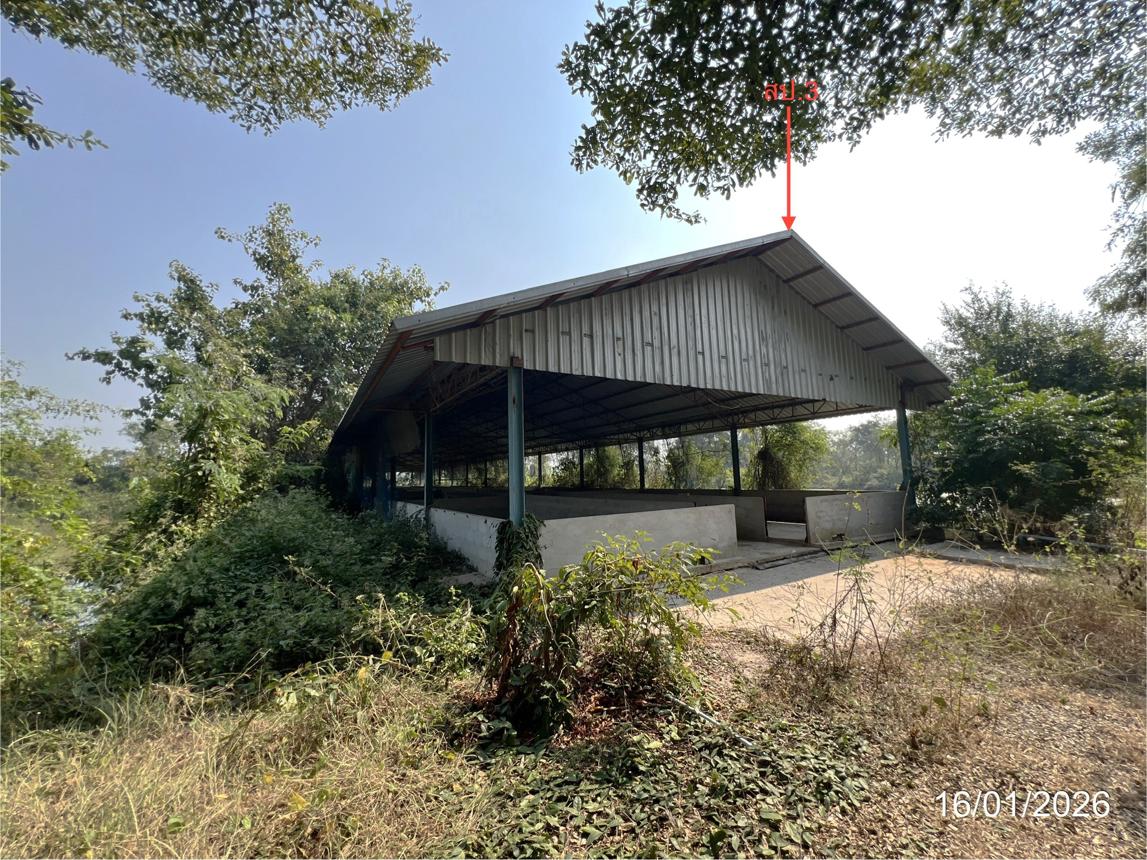 picture LAND 9600 Sq.w. Kao Lieo Nakhon Sawan for 12.6M - 24/46