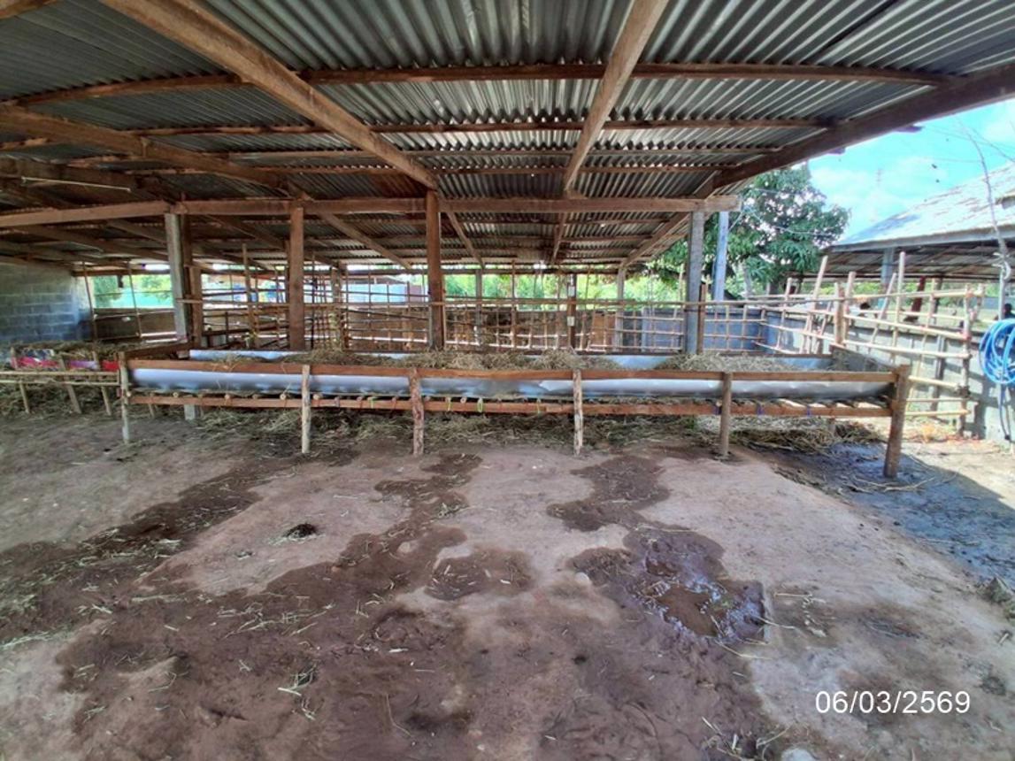 picture HOME 678.7 Sq.w. Nong Phok Roi Et for 5.5M - 28/32