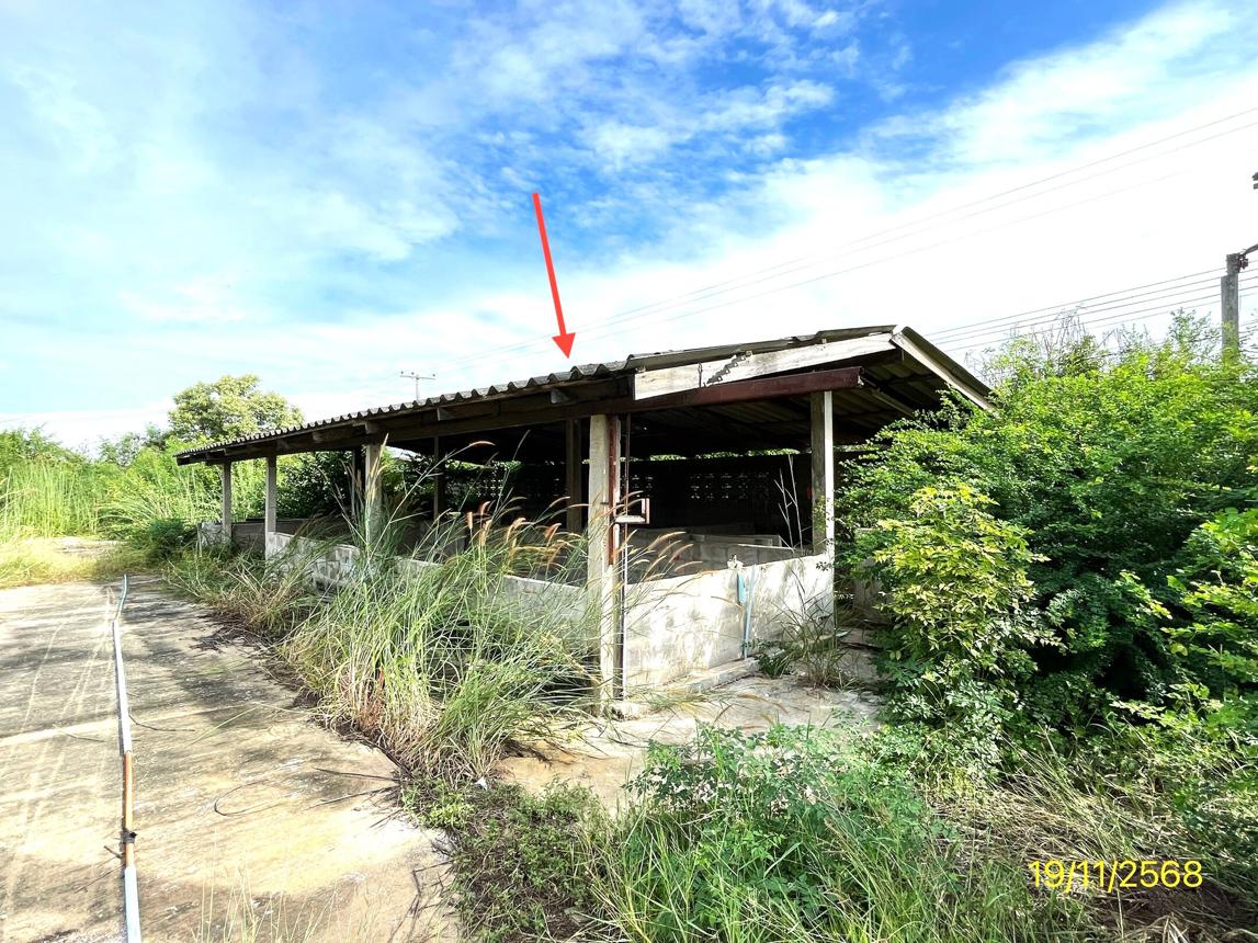 รูป ฟาร์ม 6790.8 ตร.วา โพธาราม ราชบุรี 15.2M - รูปที่ 27/44