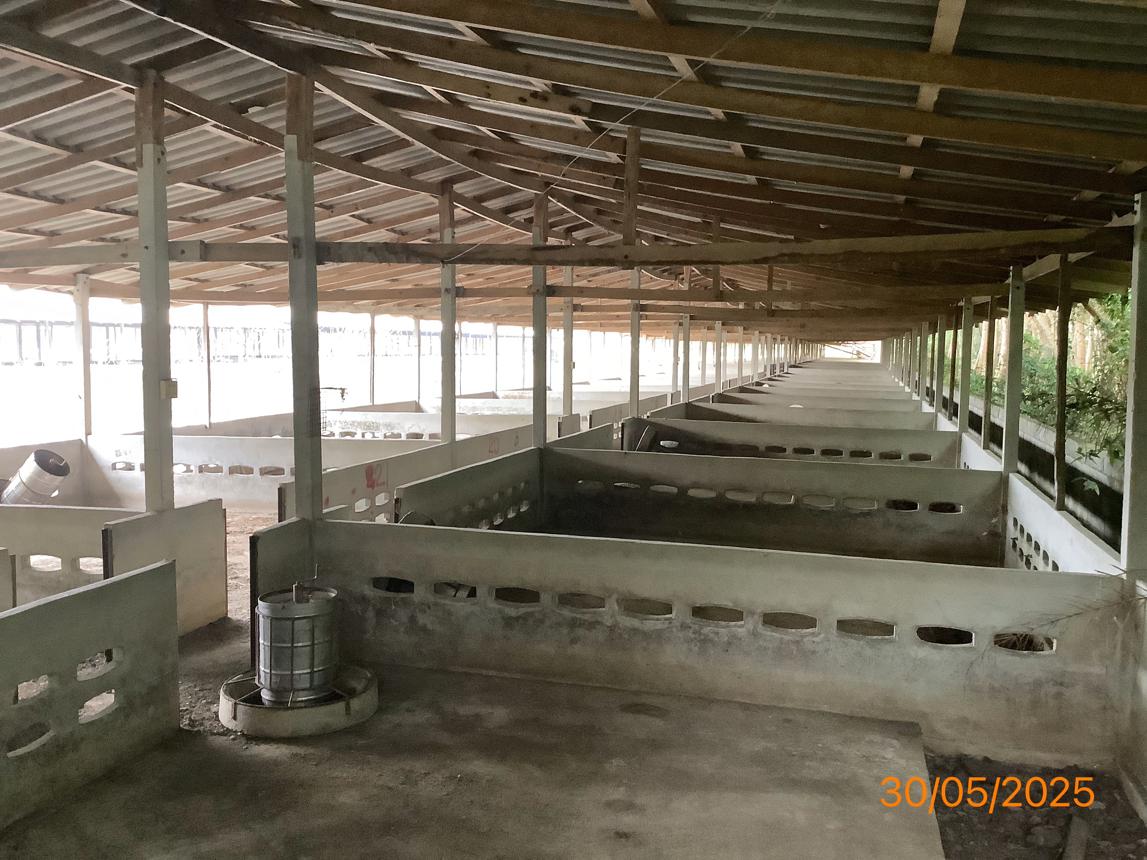 picture LAND 3649 Sq.w. Chalermphrakiet Nakhon Sri Thammarat for 9.9M - 20/38