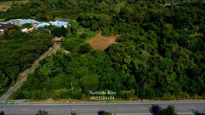 ที่ดิน ม.เอเชียน : ขายที่ดิน 169 ไร่ ถนนสุขุมวิท บางละมุง ชลบุรี