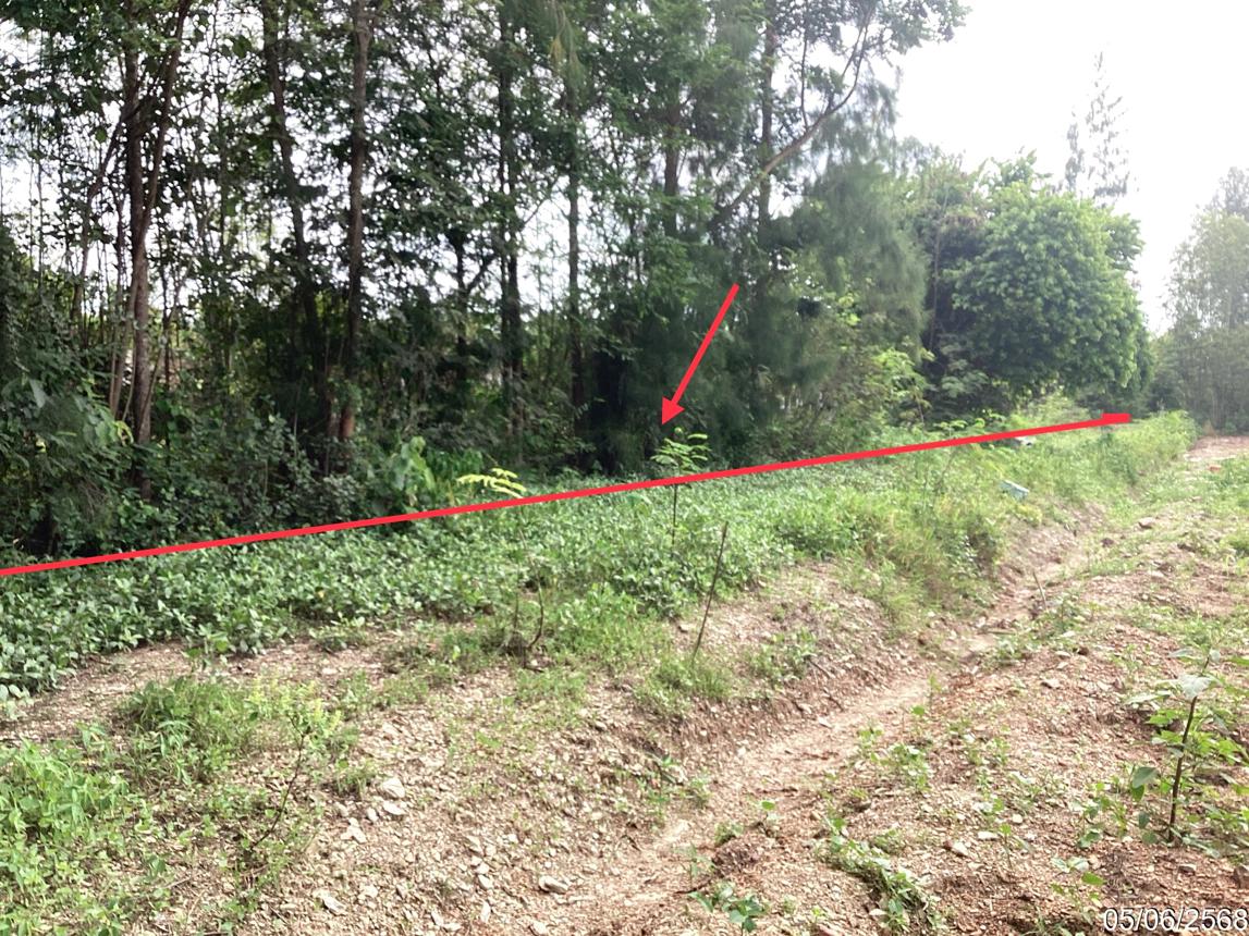 รูป ฟาร์ม 910.1 ตร.วา แก่งกระจาน เพชรบุรี 1.5M - รูปที่ 20/24