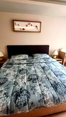 เช่าคอนโด BTS ทองหล่อ : เช่าคอนโด  ลิฟ แอท 49 BTS-ทองหล่อ คลองตันเหนือ เขต วัฒนา กรุงเทพ CX-119089 ✅ ทักไลน์ @connexproperty ตอบทันที ทีมงานมืออาชีพ ✅