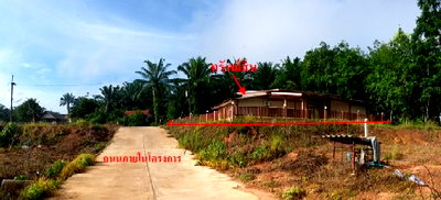 Houses for sale Krabi : HOME 210.4 Sq.w. Lam Thap Krabi for 4.1M