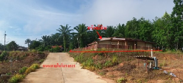 รูป บ้านเดี่ยว 210.4 ตร.วา ลำทับบ้านสวย ลำทับ กระบี่ 4.1M - รูปที่ 1/3