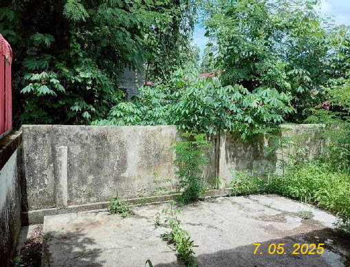 picture HOME 71.4 Sq.w. Khao Phanom Krabi for 1.4M - 11/13