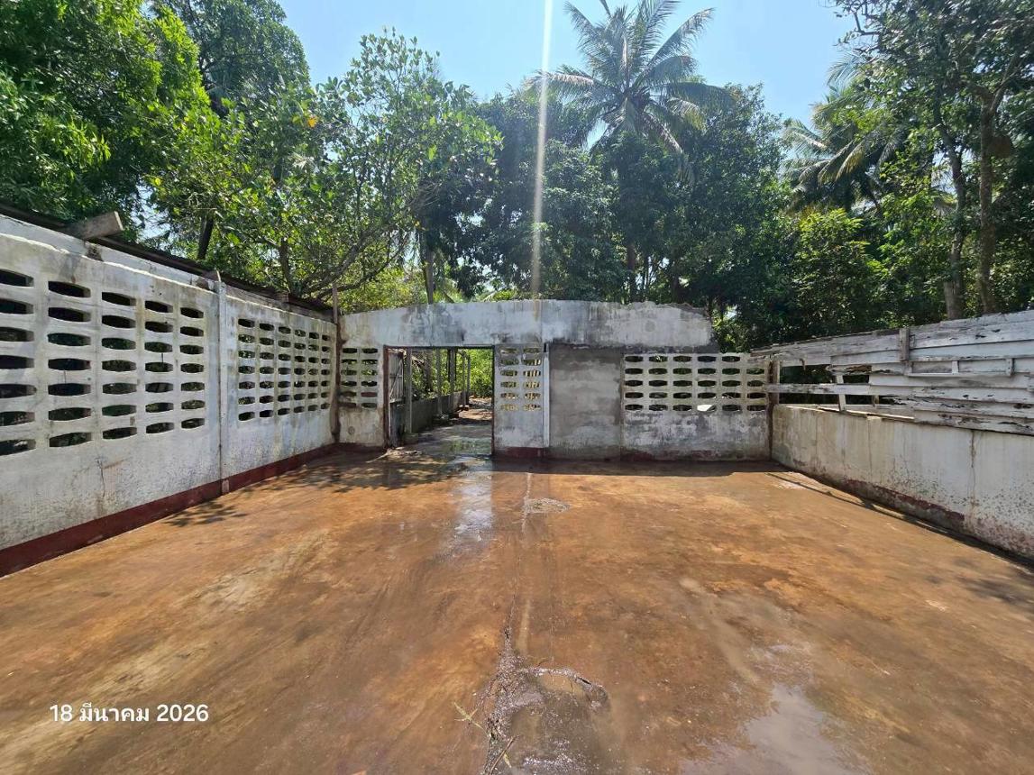 รูป บ้านเดี่ยว 7440 ตร.วา เก้าเลี้ยว นครสวรรค์ 3M - รูปที่ 19/32