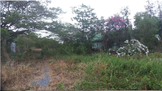 รูป โรงงาน 13075 ตร.วา บางเสาธง-สมุทรปราการ บางเสาธง สมุทรปราการ 270M - รูปที่ 18/29