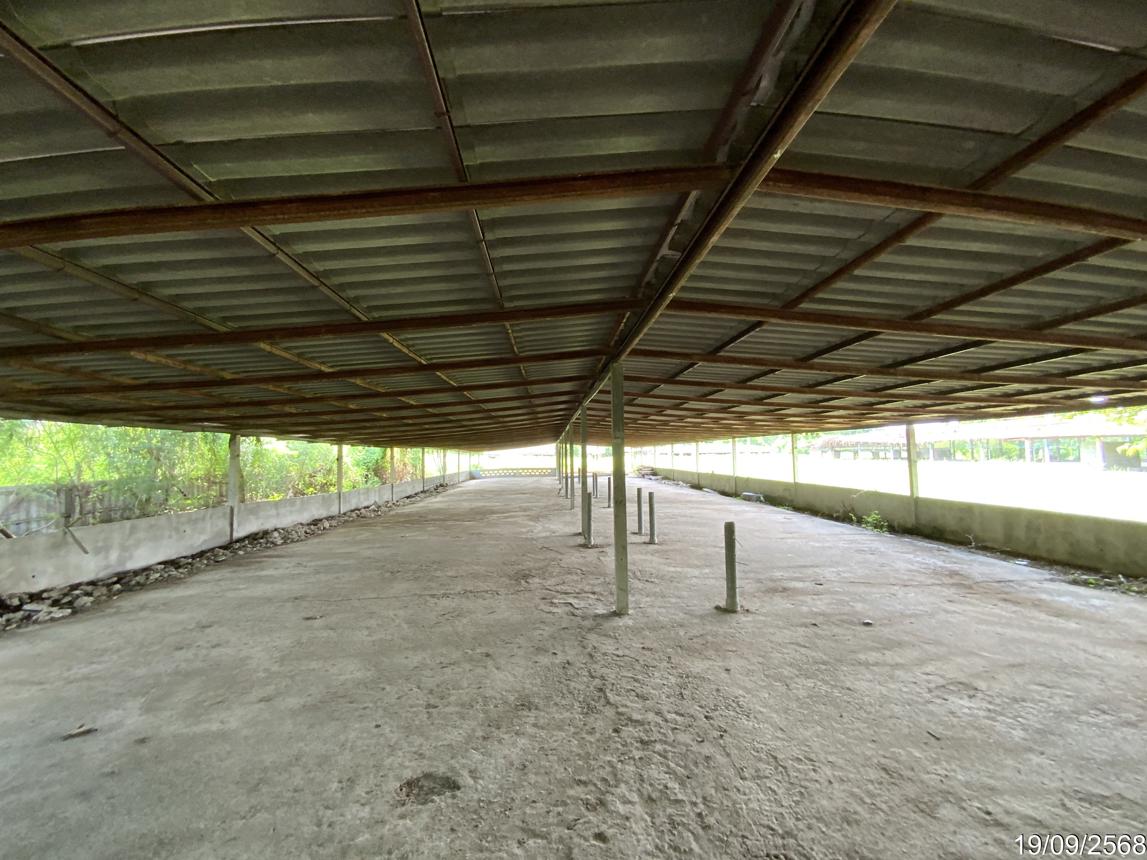 picture LAND 3345 Sq.w. Tha Wung Lopburi for 9.3M - 39/50