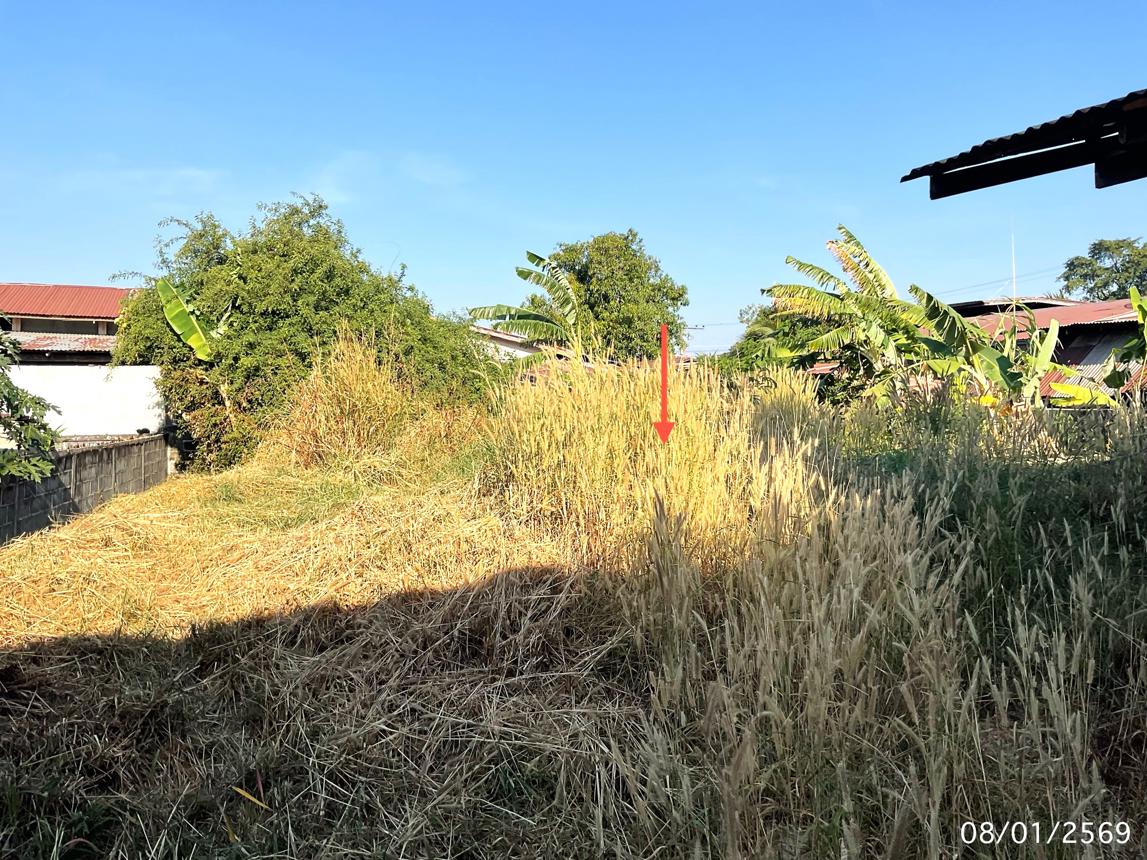 รูป บ้านเดี่ยว 110 ตร.วา หัวตะพาน อำนาจเจริญ 543,000 - รูปที่ 30/36