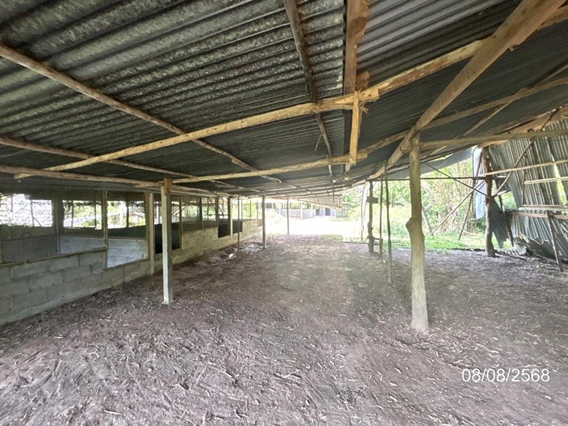 รูป บ้านเดี่ยว 623 ตร.วา ศรีณรงค์ สุรินทร์ 859,000 - รูปที่ 26/32