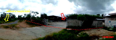 ที่ดิน พัทลุง : ที่ดินพร้อมสิ่งปลูกสร้าง 1399 ตร.วา อำเภอปากพะยูน พัทลุง 4.6M