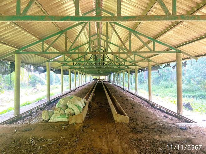 รูป ฟาร์ม 1709.6 ตร.วา ป่าบอน พัทลุง 3.2M - รูปที่ 5/40