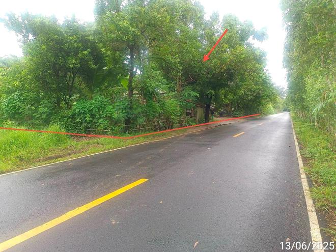 รูป บ้านเดี่ยว 1931 ตร.วา เขื่องใน อุบลราชธานี 1.7M - รูปที่ 6/20