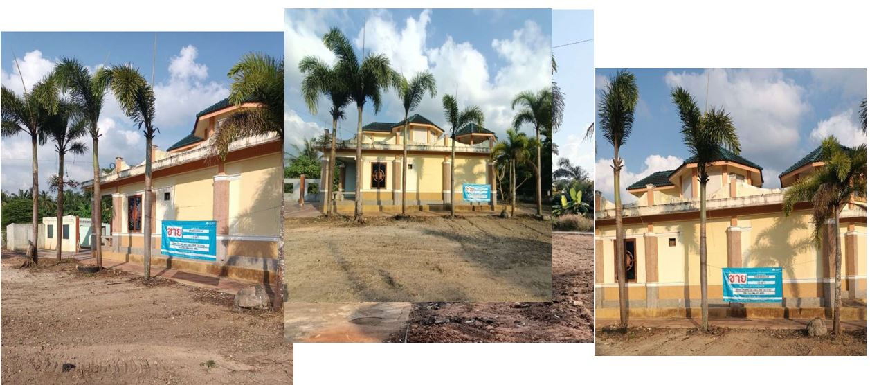 picture LAND 888 Sq.w. Don Sak Surat Thani for 3.3M - 6/9