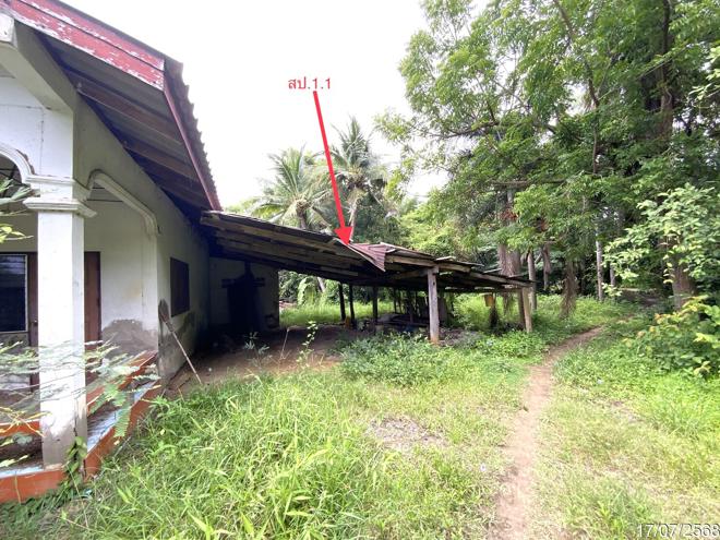 รูป บ้านเดี่ยว 726 ตร.วา ค่ายบางระจัน สิงห์บุรี 1.5M - รูปที่ 2/18
