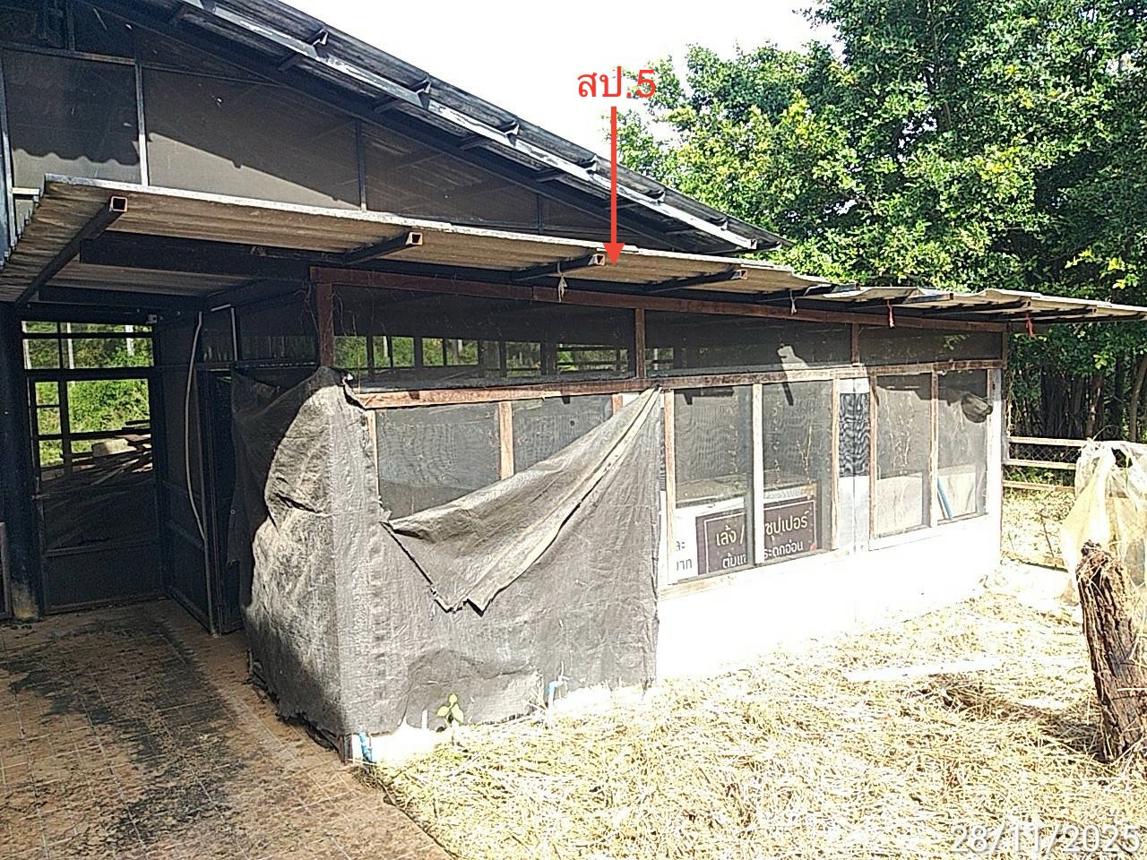 รูป บ้านเดี่ยว 5063.4 ตร.วา เมืองปราจีนบุรี ปราจีนบุรี 6.7M - รูปที่ 33/40