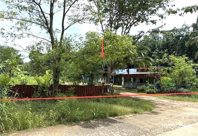 picture HOME 879 Sq.w. Det Udom Ubon Ratchathani for 3M - 7/20