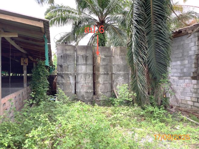 รูป ฟาร์ม 2259.1 ตร.วา เฉลิมพระเกียรติ นครศรีธรรมราช 5.6M - รูปที่ 11/36