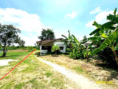 บ้านเดี่ยว นิคมราชบุรี : บ้านเดี่ยว 257 ตร.วา โพธาราม ราชบุรี 3M
