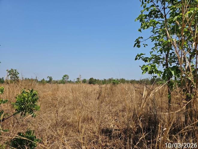 รูป ที่ดินว่างเปล่า 1811 ตร.วา ชนแดน เพชรบูรณ์ 1.4M - รูปที่ 5/16