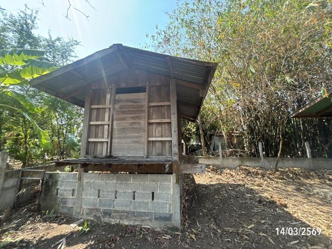 รูป บ้านเดี่ยว 1096 ตร.วา โนนสูง นครราชสีมา 1.7M - รูปที่ 18/44