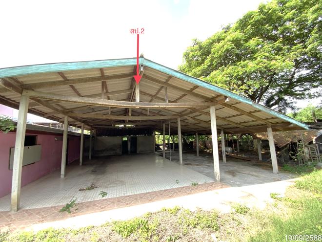 picture LAND 3345 Sq.w. Tha Wung Lopburi for 9.3M - 12/50