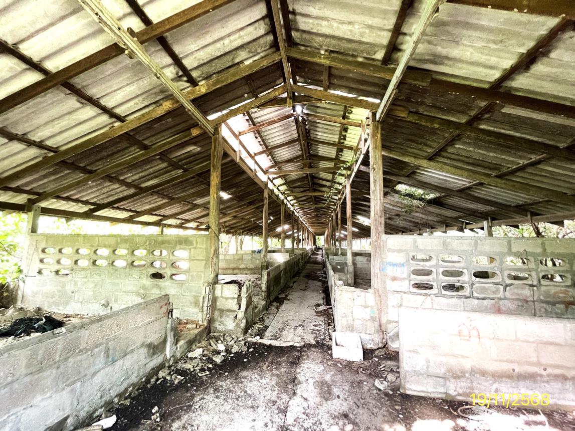รูป ฟาร์ม 6790.8 ตร.วา โพธาราม ราชบุรี 15.2M - รูปที่ 30/44