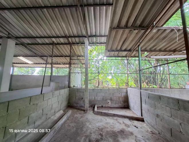 รูป เพิงอเนกประสงค์ 525 ตร.วา จอมทอง เชียงใหม่ 1.4M - รูปที่ 12/30