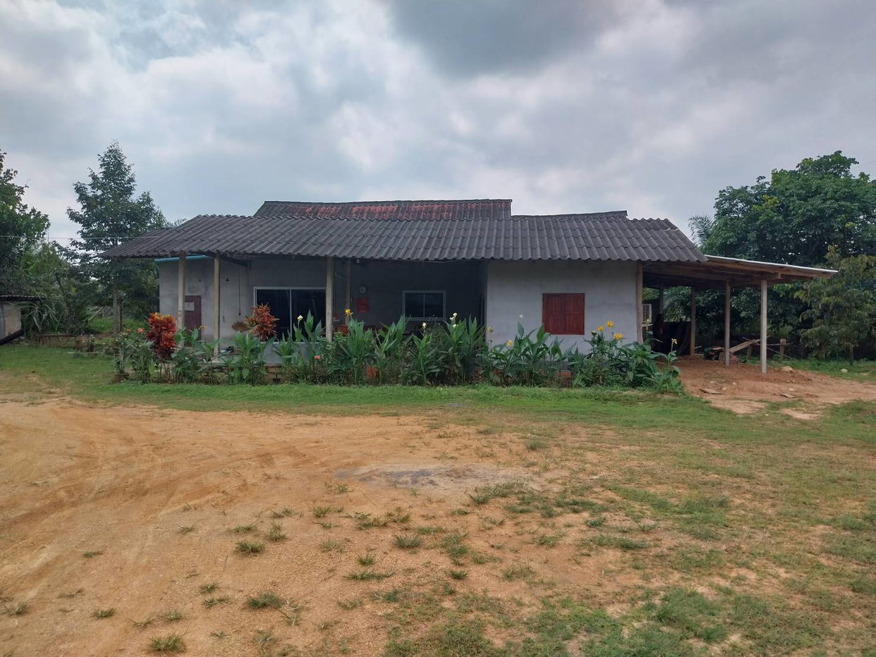 picture LAND 2454.6 Sq.w. Khiri Ratthanikhom Surat Thani for 1.8M - 5/9