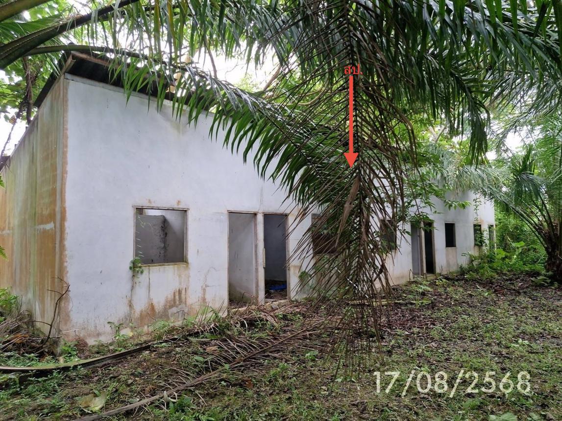 รูป บ้านเดี่ยว 1074 ตร.วา ฉวาง นครศรีธรรมราช 14.8M - รูปที่ 11/24