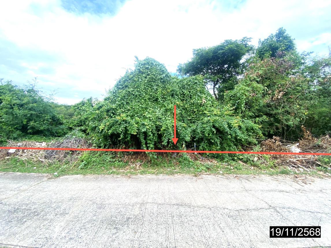 รูป บ้านเดี่ยว 14725.3 ตร.วา เมืองกาฬสินธุ์ กาฬสินธุ์ 28.4M - รูปที่ 26/38