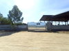 listing thumbnail image 16