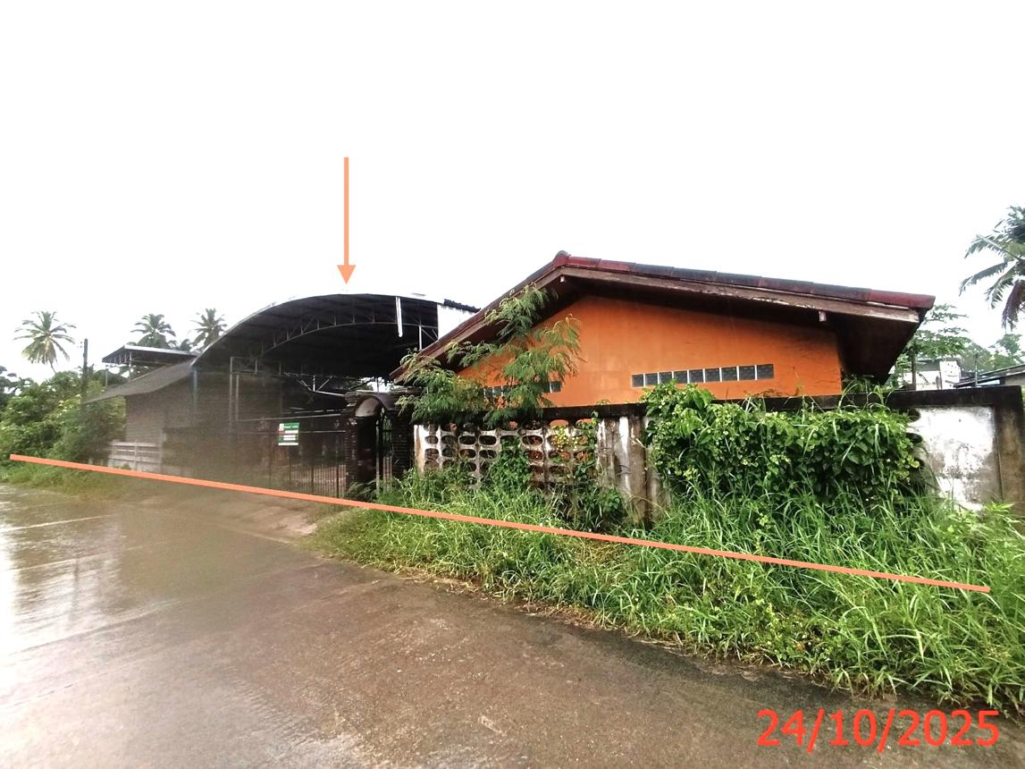 รูป บ้านเดี่ยว 245 ตร.วา สะบ้าย้อย สงขลา 3.1M - รูปที่ 24/50