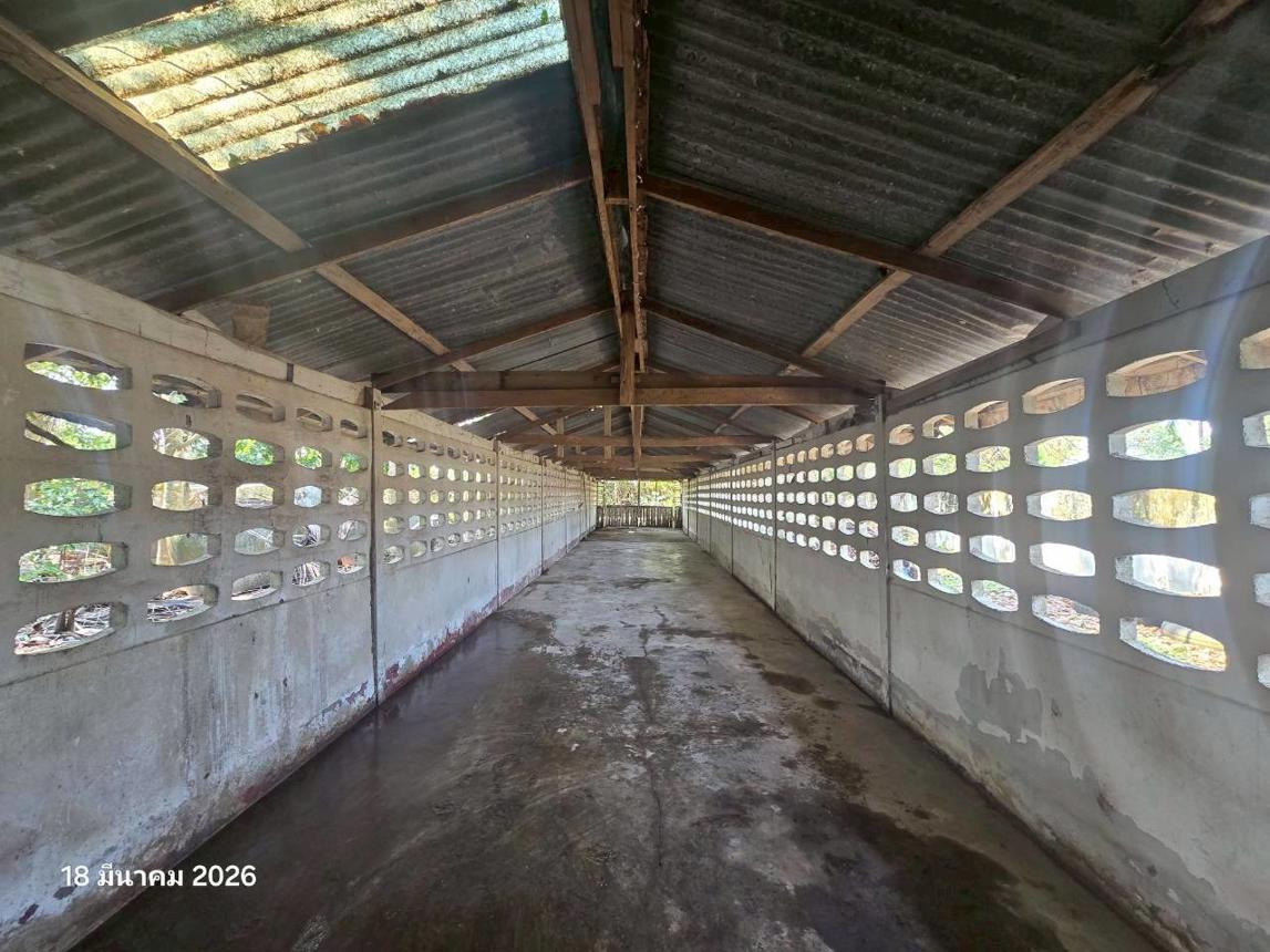 รูป บ้านเดี่ยว 7440 ตร.วา เก้าเลี้ยว นครสวรรค์ 3M - รูปที่ 18/32