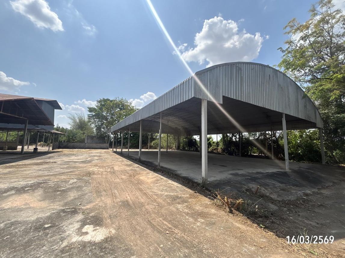 รูป บ้านเดี่ยว 3145 ตร.วา บ้านใหม่ไชยพจน์ บุรีรัมย์ 5.9M - รูปที่ 38/60