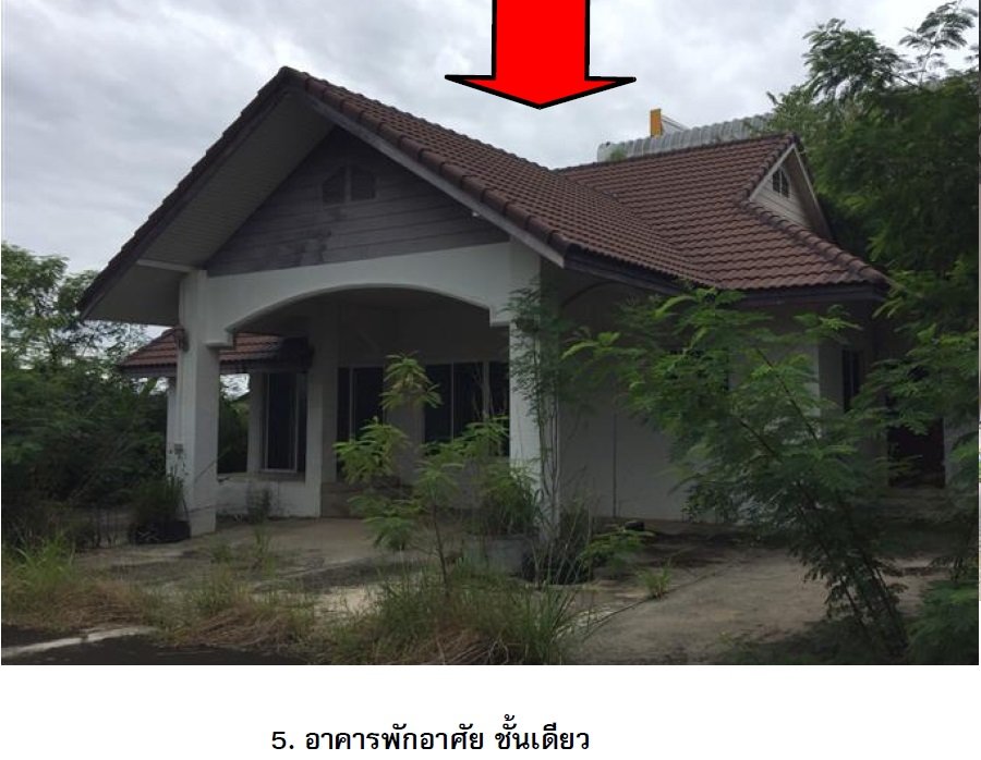 รูป โกดัง 21150 ตร.วา เมืองบุรีรัมย์ บุรีรัมย์ 417M - รูปที่ 22/32