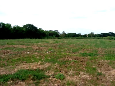 ที่ดิน นิคมสหรัตนนคร : ขายที่ดิน 12 ไร่ครึ่ง ติดปทุมธานี-บางปะหัน ( ทล.347 )