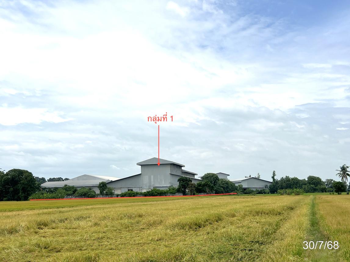 picture FACTORY 11821.9 Sq.w. Sankha Buri Chainat for 57.8M - 48/64