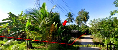 LAND 260.3 Sq.w. Muang Satun Satun for 1.3M