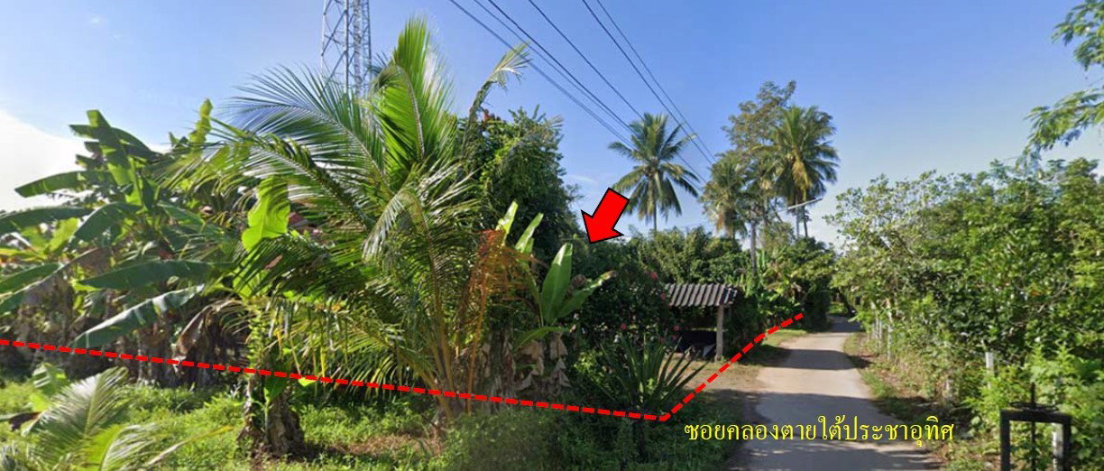 picture LAND 260.3 Sq.w. Muang Satun Satun for 1.3M - 1/6