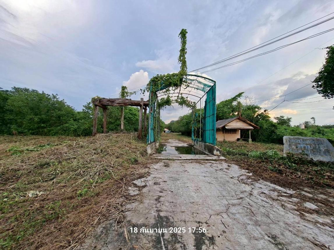 picture LAND 27277 Sq.w. Phra Phutthabat Saraburi for 29.7M - 22/42