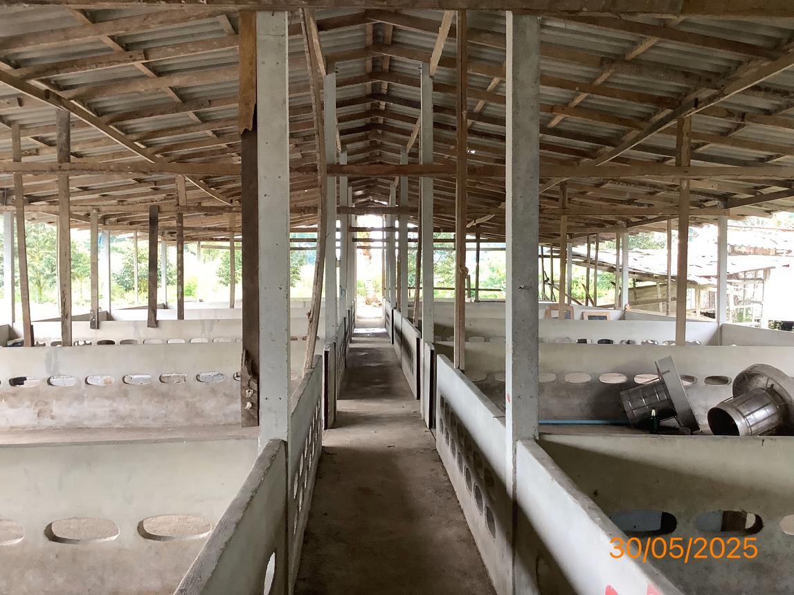 picture LAND 3649 Sq.w. Chalermphrakiet Nakhon Sri Thammarat for 9.9M - 23/38